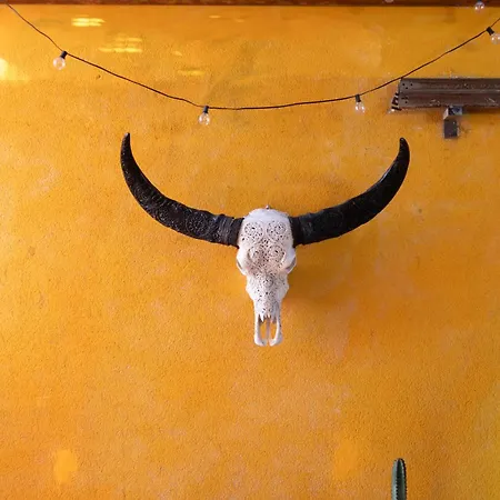 Hébergement de vacances Casa Calderon Hondo, Design, Views And Poll Lajares *