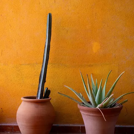 Hébergement de vacances Casa Calderon Hondo, Design, Views And Poll Lajares Corralejo