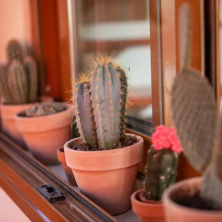 Hébergement de vacances Casa Calderon Hondo, Design, Views And Poll Lajares