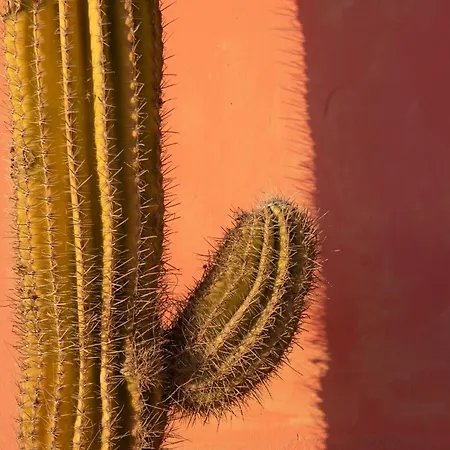 Nyaraló Casa Calderon Hondo, Design, Views And Poll Lajares *