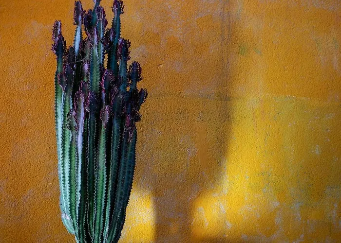 Casa Calderon Hondo, Design, Views&poll Lajares * Corralejo