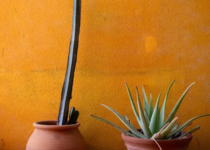 Сasa de vacaciones Casa Calderon Hondo, Design, Views&poll Lajares Corralejo