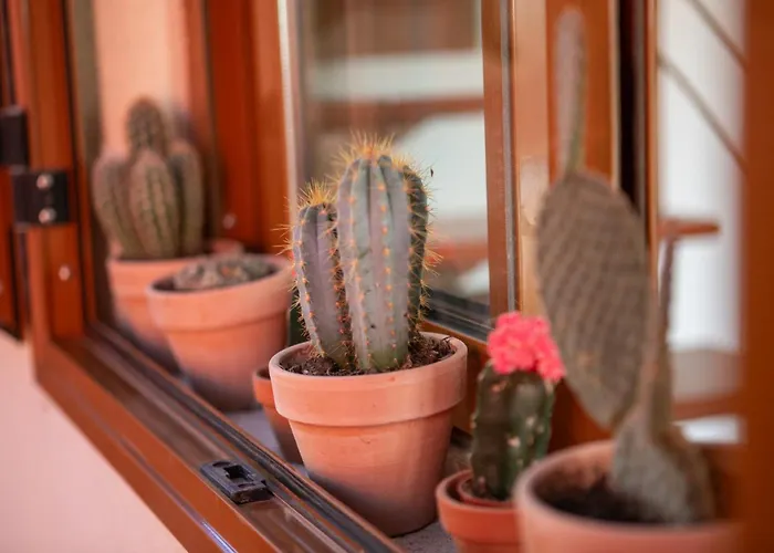 Сasa de vacaciones Casa Calderon Hondo, Design, Views&poll Lajares