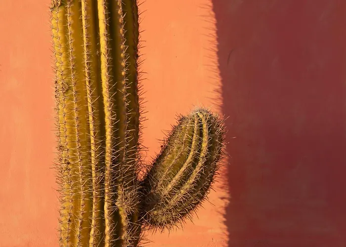 Сasa de vacaciones Casa Calderon Hondo, Design, Views&poll Lajares *