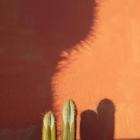 Vakantiehuis Casa Calderon Hondo, Design, Views And Poll Lajares *